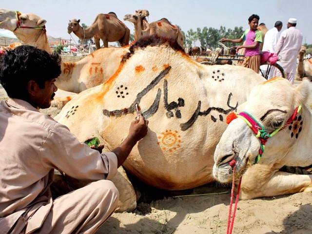 عید کے دوسرے دن بھی قربانی کا سلسلہ جاری ہے، گھروں میں مزے مزے کے پکوان تیار کر کے مہمانوں کی خاطر تواضع کی جارہی ہے