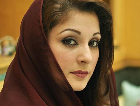  مریم نواز پندرہ سو کنال سے زائد زرعی زمین کی مالک, پانچ ملوں میں شیئر ہولڈر, چارکروڑبانوے لاکھ ستتر لاکھ روپے کے گفٹ ملے