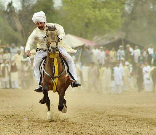 نیزہ بازی اور گھڑ سواری کے چیمپئن ملک عطا محمد خان انتقال کرگئے