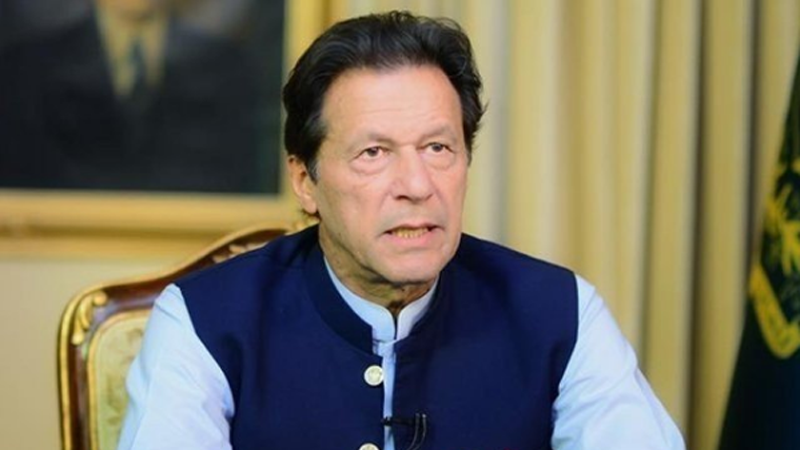 مسلم لیگ ن عدالتوں پر اثرانداز ہونے کی تاریخ رکھتی ہے. عمران خان