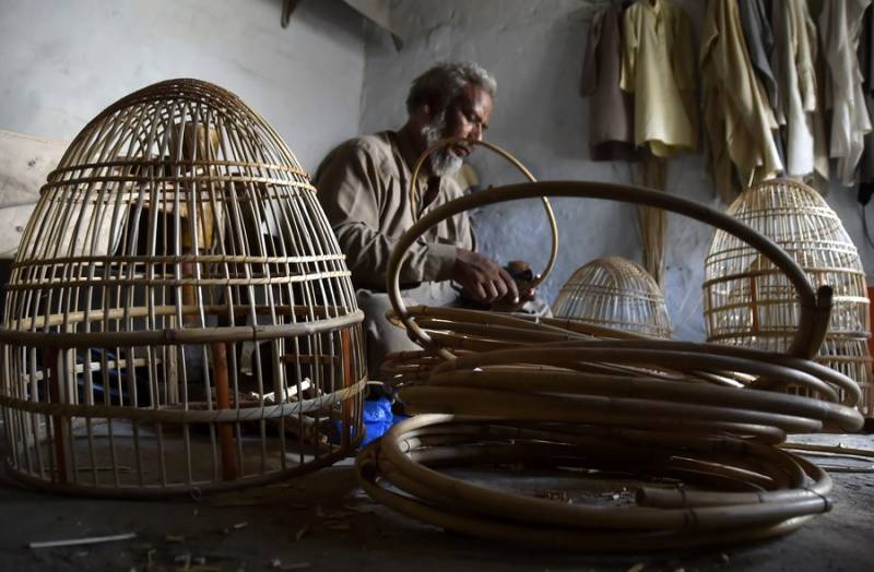 پشاور، کاریگر ہاتھ سے بنے پرندوں کے پنجرے بنا نے میں مصروف