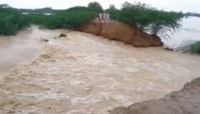 ڈیرہ غازی خان اور راجن پور میں سیلاب زدگان کے لیے4 ارب روپے کی لاگت سے بستیاں تعمیر کی جائیں گی