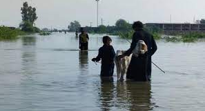 پاکستان میں سیلاب زدہ علاقوں میں بحالی، تعمیرنو کے لیے ڈونرز کانفرنس جنیوا میں متوقع ہے ترجمان دفتر خارجہ