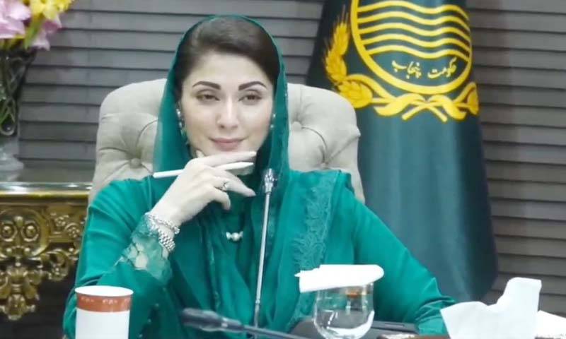 افسوس ہے پنجاب والے اپنے بچوں کو پنجابی نہیں اردو سکھاتے ہیں:مریم نواز