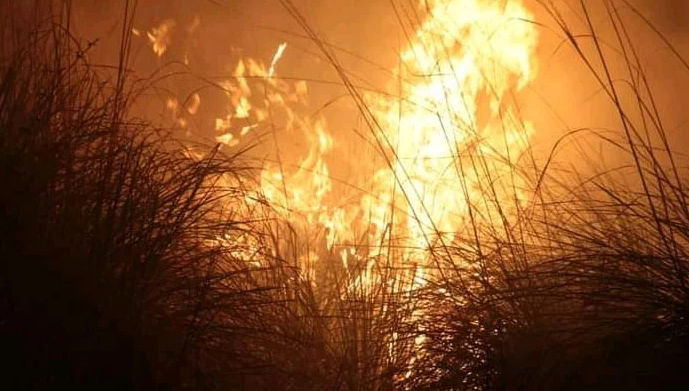 بارکھان میں پہاڑی سلسلے کوہ جاندران کے جنگلات میں لگی آگ شدت اختیار کرگئی