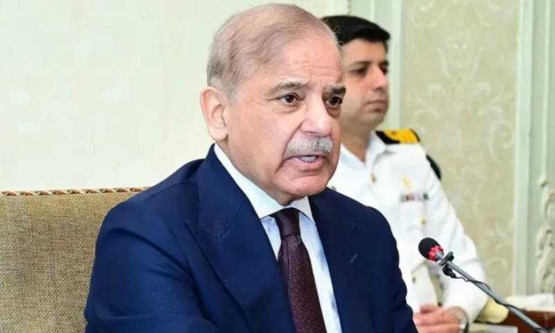  چینی صنعتکاروں اور سرمایہ کاروں کو ہر ممکن سہولیات فراہم کرینگے: وزیراعظم 