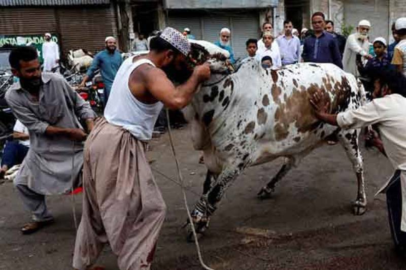 قصابوں کی جانب سے عید قربان پر جانور ذبح کرنے کی ریٹ لسٹ جاری