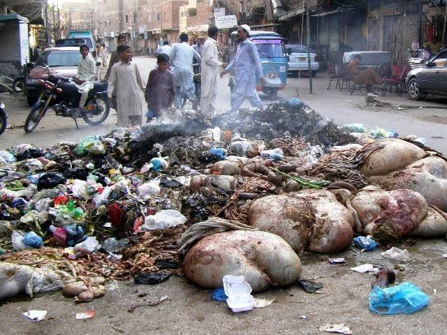 عیدِ قربان کے پہلے ہی دن لاہور کے متعدد علاقوں میں آلائشوں کے انبار لگ گئے