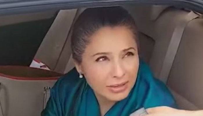 پارٹی میں کوئی پختون پنجابی گروپ نہیں ہے: شاندانہ گلزار