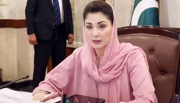  پاکستان کیلئےپنک سالٹ خزانے کے مترادف ہے: مریم نواز