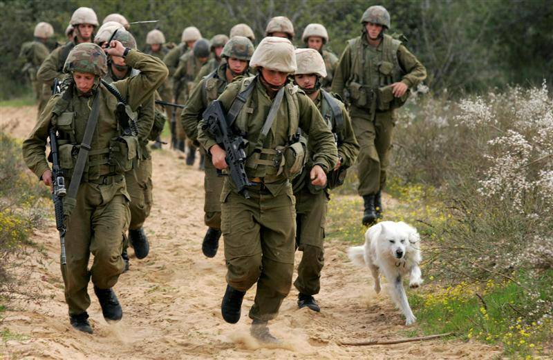 اسرائیلی فوج کی فائرنگ ،فلسطینی ماہی گیر شہید 