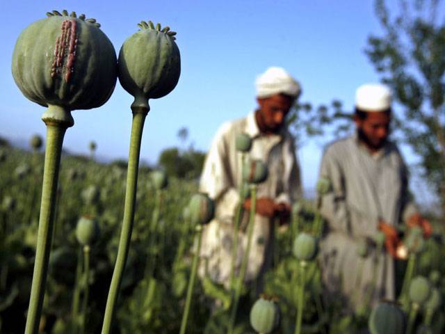  ڈرگ فری سٹی لاہور کے زیر اہتمام آج منشیات کی تباہی کاریوں سے آگاہی کا دن منایا جائیگا 