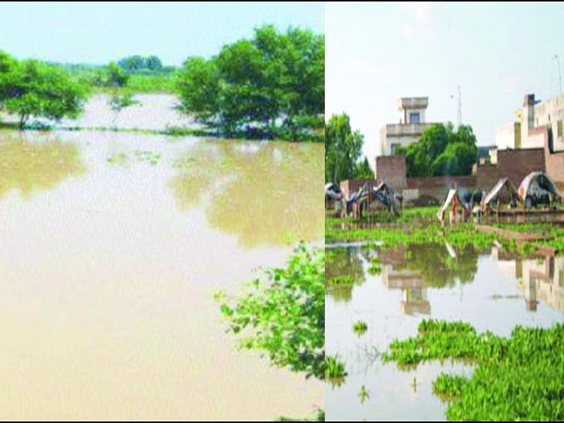 نالہ ڈیک ‘ ہیلسی اور بسنتر میں شگاف ‘ گجرات ‘ نارووال میں تباہی ‘ درجنوں دیہات زیر آب 