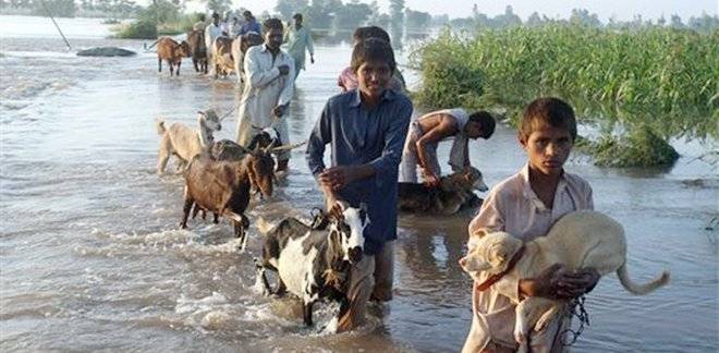  پنجند پر اونچے درجے کا سیلاب ، ہزاروں لوگ پھنس گئے، حافظ آباد میں100 افراد بدستور لاپتہ 