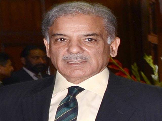 چینی قیادت کی پاکستانیوں سے والہانہ محبت، اربوں ڈالر کی سرمایہ کاری دھرنے والوں نے ترقی کی راہ میں رکاوٹیں ڈالیں، شہباز شریف کی شدید تنقید 