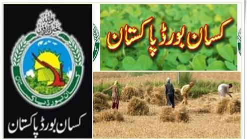  کاشتکاروں کو ادائیگیاں نہ کرنیوالے ”مالی دہشت گرد“ ہیں: کسان بورڈ 