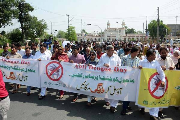 اینٹی ڈینگی ڈے: لاہور سمیت متعدد شہروں میں واکس، سیمینارز اور ریلیاں 