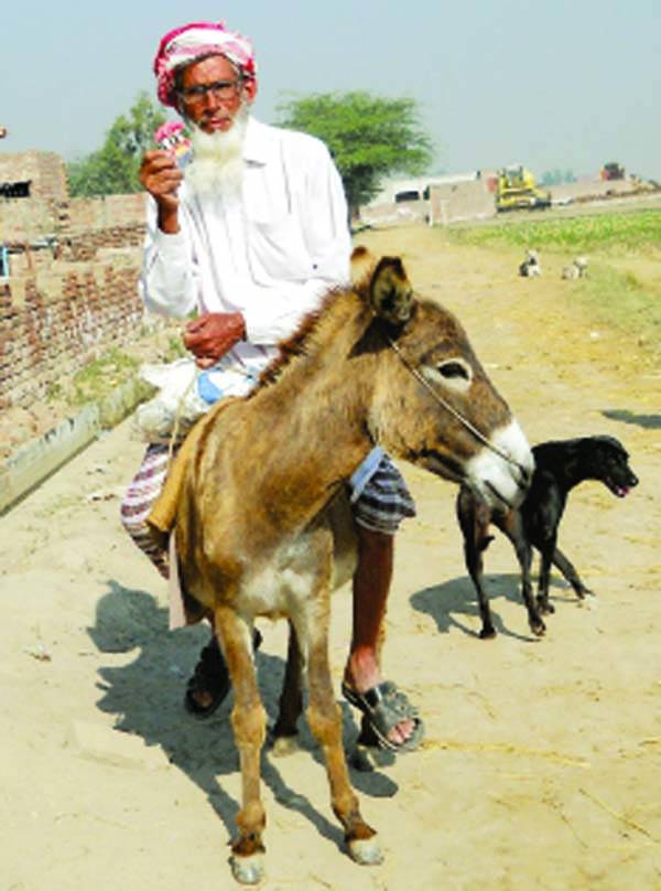 معمر شخص گدھے‘ ایک بھینس پر بیٹھ کر ووٹ ڈالنے آیا 110 سالہ خاتون پوتے کے سہارے پولنگ سٹیشن پہنچی