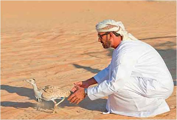 دنیا بھر میں 97 ہزار تلور باقی، بچایا نہ گیا تو صرف تصویر رہ جائیگی