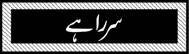 وزیر اعظم کا پروٹوکول آفیسر اپنی فیس بک فرینڈ سے ملنے گھر میں گھس گیا، بھائیوں نے پھینٹی لگا دی