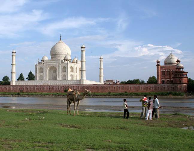 تاج محل کی خوبصورتی کو دریائے جمنا میں پنپنے والے کیڑے مکوڑوں سے خطرہ 