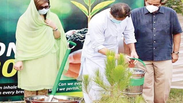 گرمی بڑھی، گلیشیئر پگھلتے رہے تو ہمارے علاقے ریگستان بن جائیگے، عمران : شجر کاری کا افتتاح