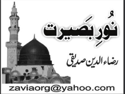 ام المومنین حضرت حفصہ رضی اللہ عنہا(۳)