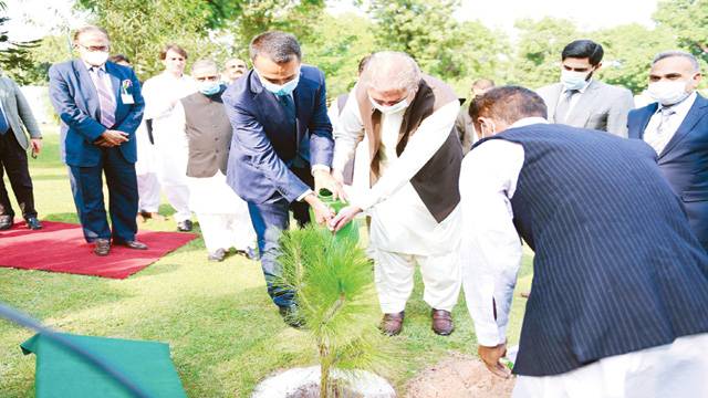 عالمی امور میں پاکستان اٹلی کے نقطہ نظر میں مماثلت حوصلہ افزاء : شاہ محمود