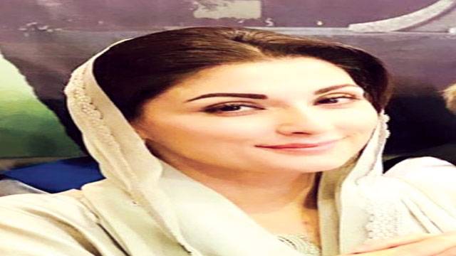 شیر سے پنجاب چھننے کا خواب چکنا چور ہو گا: مریم نواز 