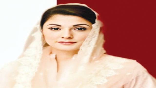  فتنہ خان کا مہنگائی مخالف احتجاج   اپنے خلاف ہے: مریم نواز 