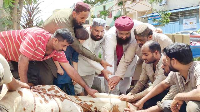 سنت ابراہیمی ایثار برداشت اور غریبوں کوحقوق دینے کا درس دیتی ہے : ثروت اعجاز قادری 