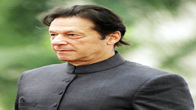 عمران سے سابق امریکی خاتون سفارتکار رابن رافیل کی ملاقات 