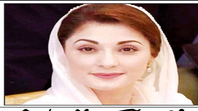 پولیس کے ڈر سے تحریکیں کینسل کرنے والے کو گیدڑ  کہتے ہیں : مریم نواز