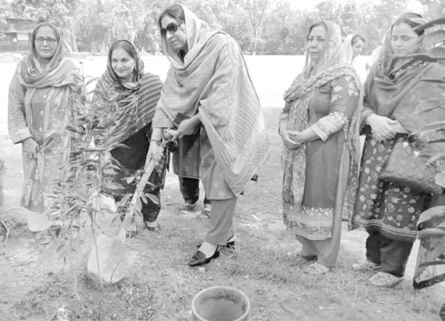 ماحولیاتی آلودگی کے خاتمہ کیلئے شجرکاری اہم اقدام ہے:بینش قمر ڈار