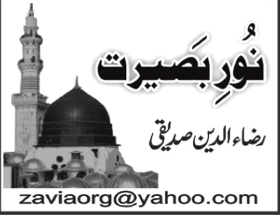 ام المومنین حضرت حفصہ رضی اللہ عنہا(۵)